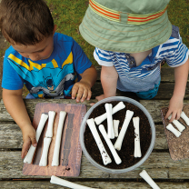 Dinosaur Bones Match and Measure