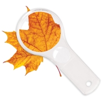 Dual Lens Magnifiers