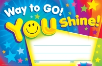 You Shine Award