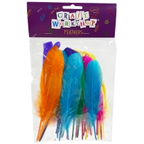 Full Feathers - Pack of 25