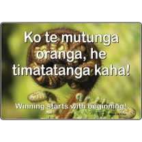 Te Reo Poster Set