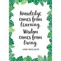 Knowledge comes from learning Poster