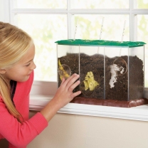 See-Through Compost Container