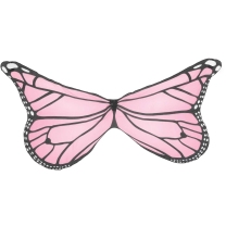 Pink Butterfly Wings