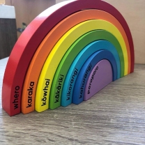 Rainbow Te Reo Wooden Blocks