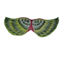 Kakariki Bird Wings