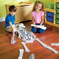 Skeleton Floor Puzzle