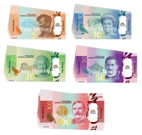 Small NZ Money Pack - Tear Resistant