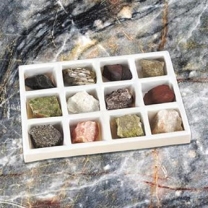 Metamorphic Rock Collection