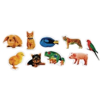 Realistic Photo Animal Foam Stickers - Pack of 250