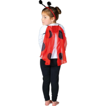 Ladybug Head & Wings Set