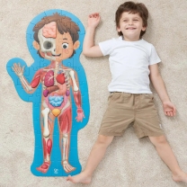 Human Body Floor Puzzle