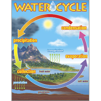 Water Cycle Chart