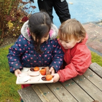 Natural Sorting Tray