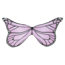 Purple Butterfly Wings