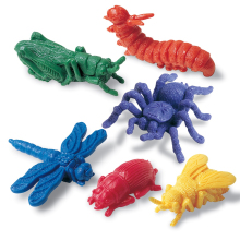 Backyard Bugs Counters