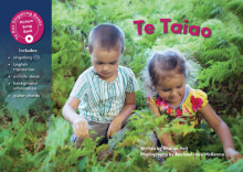 Te Taiao Singalong Book