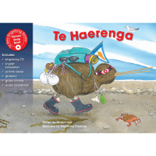 Te Haerenga Te Reo Singalong Book